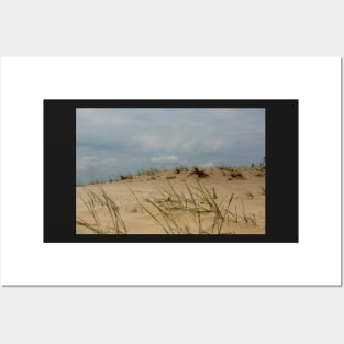 Sand dunes in Letea forest , in the Danube Delta area, Romania, in a sunny summer day Posters and Art